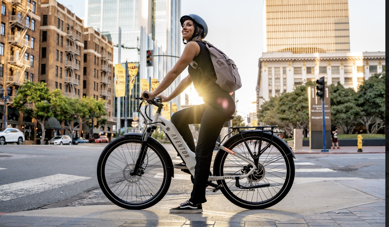 eBike Reward